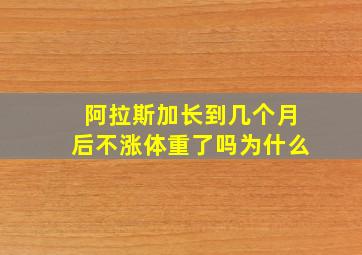 阿拉斯加长到几个月后不涨体重了吗为什么