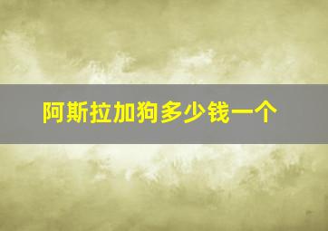 阿斯拉加狗多少钱一个