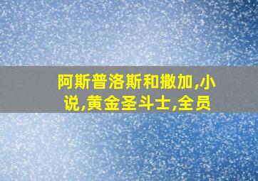 阿斯普洛斯和撒加,小说,黄金圣斗士,全员