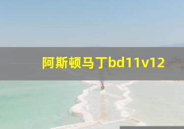 阿斯顿马丁bd11v12