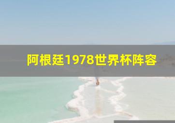 阿根廷1978世界杯阵容