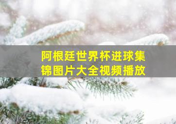 阿根廷世界杯进球集锦图片大全视频播放