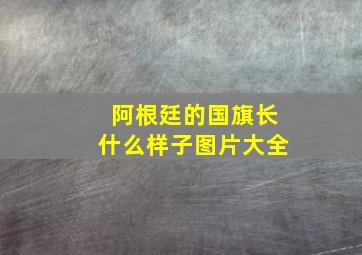 阿根廷的国旗长什么样子图片大全