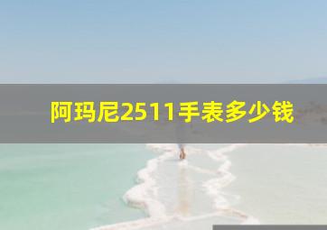 阿玛尼2511手表多少钱