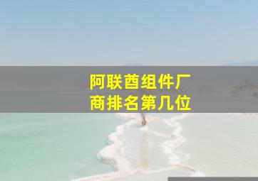 阿联酋组件厂商排名第几位