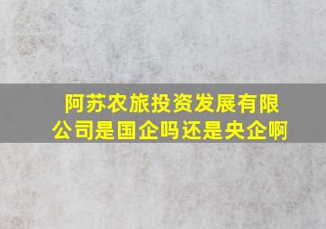 阿苏农旅投资发展有限公司是国企吗还是央企啊