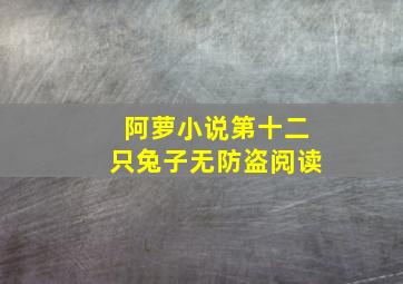 阿萝小说第十二只兔子无防盗阅读