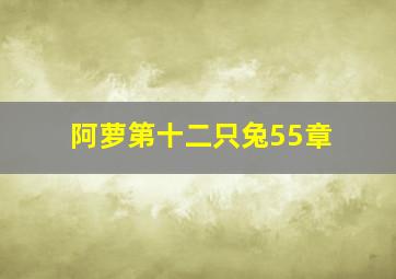 阿萝第十二只兔55章