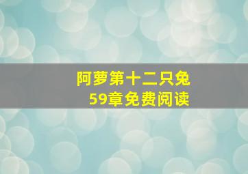 阿萝第十二只兔59章免费阅读