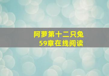 阿萝第十二只兔59章在线阅读