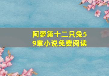 阿萝第十二只兔59章小说免费阅读