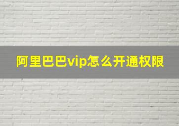 阿里巴巴vip怎么开通权限