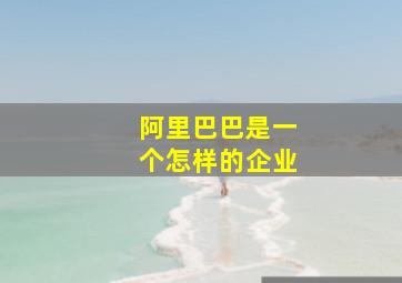 阿里巴巴是一个怎样的企业