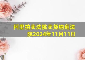 阿里拍卖法院卖货纳雍法院2024年11月11日