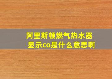 阿里斯顿燃气热水器显示co是什么意思啊