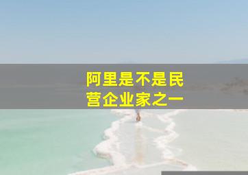 阿里是不是民营企业家之一