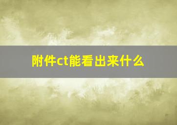 附件ct能看出来什么