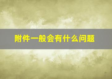 附件一般会有什么问题