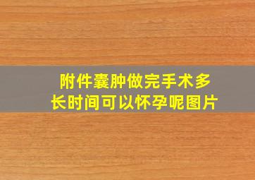 附件囊肿做完手术多长时间可以怀孕呢图片