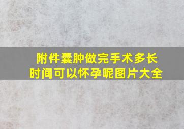 附件囊肿做完手术多长时间可以怀孕呢图片大全