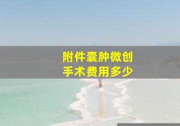 附件囊肿微创手术费用多少