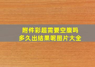 附件彩超需要空腹吗多久出结果呢图片大全