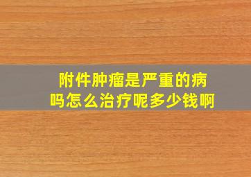 附件肿瘤是严重的病吗怎么治疗呢多少钱啊