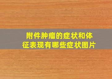 附件肿瘤的症状和体征表现有哪些症状图片