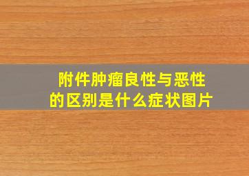 附件肿瘤良性与恶性的区别是什么症状图片