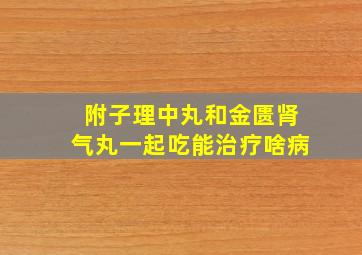 附子理中丸和金匮肾气丸一起吃能治疗啥病