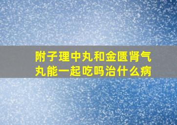 附子理中丸和金匮肾气丸能一起吃吗治什么病