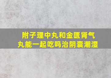 附子理中丸和金匮肾气丸能一起吃吗治阴囊潮湿