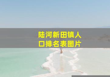 陆河新田镇人口排名表图片