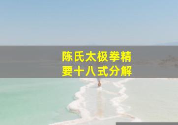 陈氏太极拳精要十八式分解