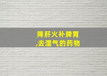 降肝火补脾胃,去湿气的药物