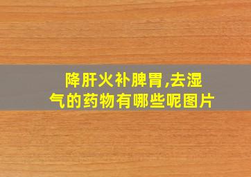 降肝火补脾胃,去湿气的药物有哪些呢图片