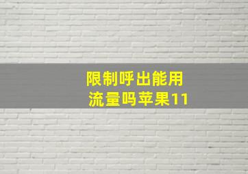 限制呼出能用流量吗苹果11