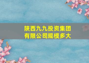 陕西九九投资集团有限公司规模多大