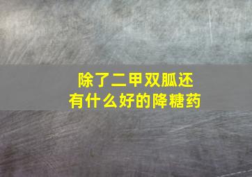 除了二甲双胍还有什么好的降糖药