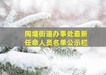 陶堰街道办事处最新任命人员名单公示栏