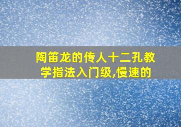 陶笛龙的传人十二孔教学指法入门级,慢速的