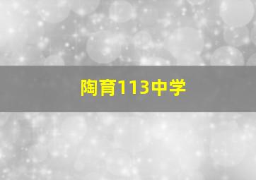 陶育113中学