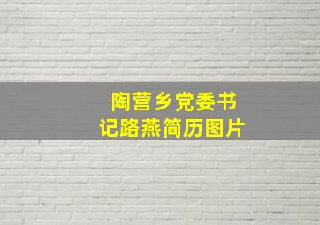 陶营乡党委书记路燕简历图片