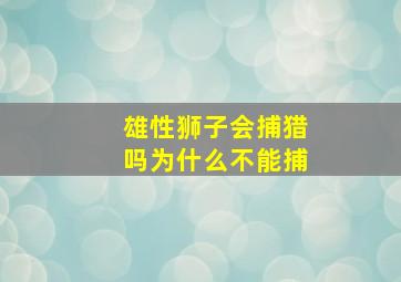 雄性狮子会捕猎吗为什么不能捕