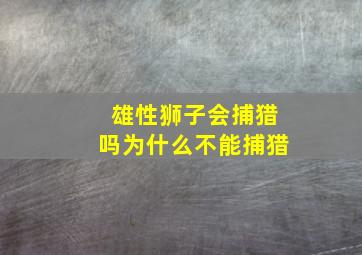 雄性狮子会捕猎吗为什么不能捕猎