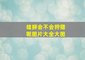 雄狮会不会狩猎呢图片大全大图