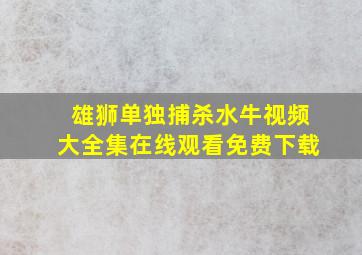 雄狮单独捕杀水牛视频大全集在线观看免费下载