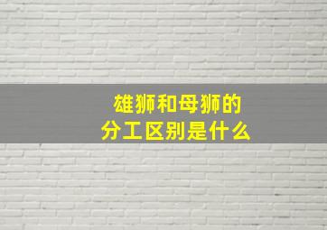 雄狮和母狮的分工区别是什么