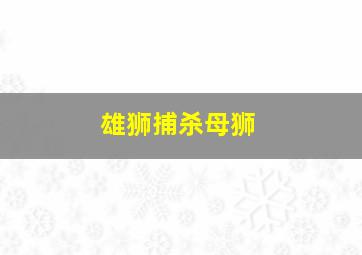 雄狮捕杀母狮