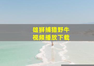 雄狮捕猎野牛视频播放下载